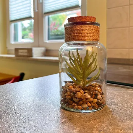 Gaestehaus Karstadt 02 - Gartenblick Appartement Boltenhagen (Ostseebad)