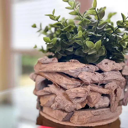 Appartement Gaestehaus Karstadt 02 - Gartenblick